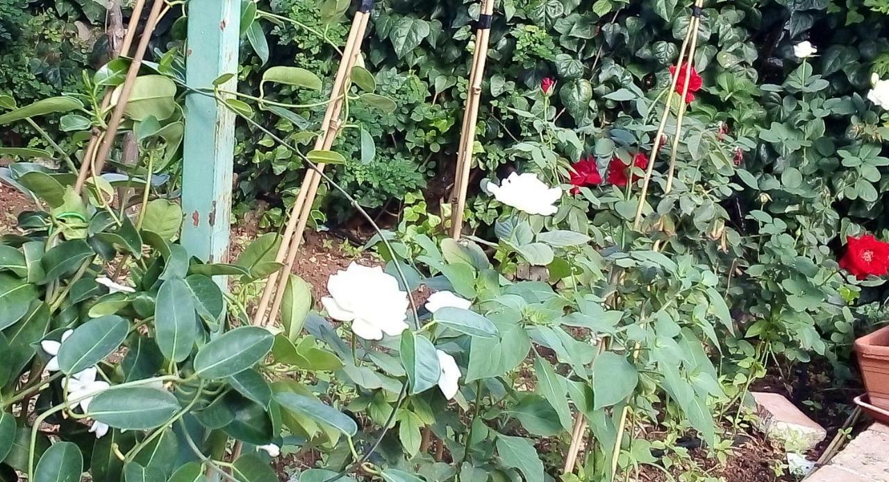 Il Giardino Di Hyccara Villa Carini Kültér fotó